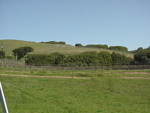 Point Reyes Vineyard Inn Калифорния Сити Экстерьер фото