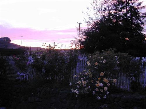 Point Reyes Vineyard Inn Калифорния Сити Экстерьер фото
